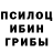 Галлюциногенные грибы GOLDEN TEACHER Andrew Cen