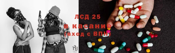 сатива Армянск
