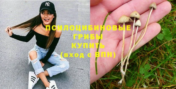 хмурый Балахна