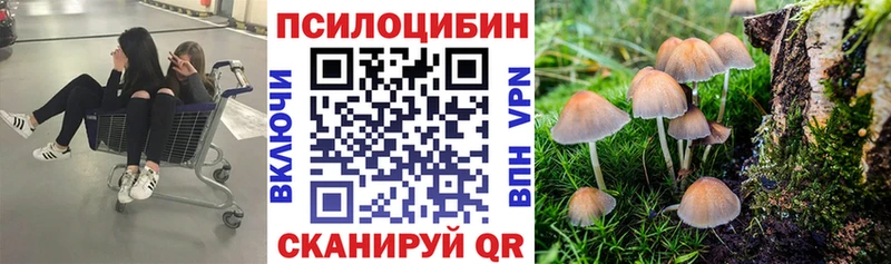 Галлюциногенные грибы MAGIC MUSHROOMS  цена   Богородск 